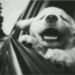 ㅠㅠ 다들 고생 많았네
