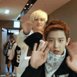 [EXO] 솔직한 엑소 인기<b>순위</b>