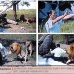 내가 <b>사자</b>까지 다스리겠노라
