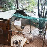 포털사이트 다음에 올려진 기사입니다