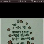 외로운 밤, 심심한 밤