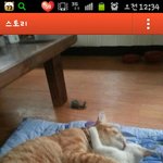 남자둘이 모하는거?<b>형제</b>도아닌 너희들...