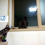 <b>레오</b>는 나오미옵빠를 너무 사랑해~!