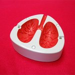 살얼음판을 걷는 <b>통쾌</b>한 사건들 ㅋㅋ[방탈죄송ㅠ]