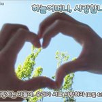 하나님의 자녀라면...<존중의 힘> 하나님의교회 안증회