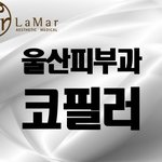 요즘 <b>필러</b>가 대세라죠..