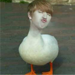 [<b>B1A4</b>] 덕심불태우는 사진점