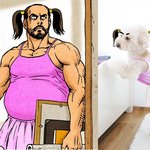 담임네<b>이터</b> 강아지