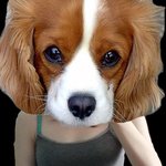 (사진 o) 다이어트중 몸매평가.. ㅏㅓㅏㅓ