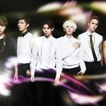 @@@비스트신곡shadow@@@