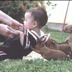 [팔부] 아기와 <b>동물</b> 2