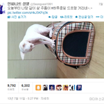 [인피니트] <b>웬만</b>한 딸바보 이긴 성열