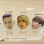 [비스트] 섬나라가지말자슷두야ㅠㅠㅠ