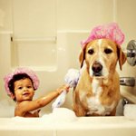 [팔부] 아기와 <b>동물</b> 3