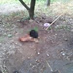 잘생긴 백구 ㅋ 살계사건