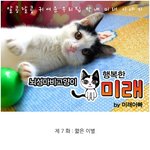 [뇌성마비 고양이] <b>미래</b>이야기 7화