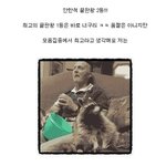 안한척 <b>끝판</b>왕 모음집