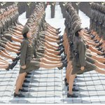 과시하려다 망신 당하다