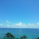 여름을 시원하게 보내는 방법! 제주도로 여름 휴가 왔어요~