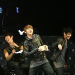 ===무개념비스트양요섭===