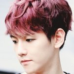 [EXO] 변백현 난 솔직히