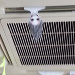 볼수록 세원한 <b>에어컨</b> .jpg