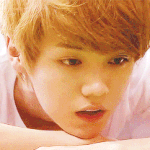 [EXO] (꼭봐주세요!)엑소너무욕하지말아주세요..