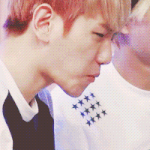 [EXO] 이건 갠소용이 아니야 움짤은 공유해야해5탄