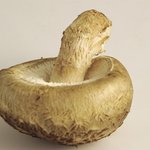 웰빙간식 <b>버섯</b>오리부침 레시피~