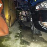 [쁜이] 녀석은 새 삶을 살 수 있을까요?