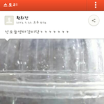 수정)개념없는x년  <b>동물</b>학대 카스캡쳐 있음 꼭보세요