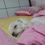 내이름은 <b>미나미</b>