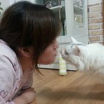 길고냥이 하트와 집고냥이 뿅뿅이의 성장 이야기. 7탄