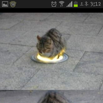 (추가) 풉정도 웃긴사진