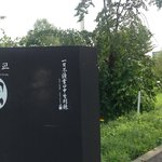파주 출판<b>단지</b> 주인 잃은 고양이
