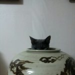 딱지와 나만의 시간