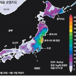 [비스트] 아 큐브 제발 정신좀;