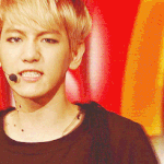 [EXO] 늑대와<b>미녀</b> 활동끝난기념 늑미움짤