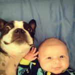 [팔부] 아기와 <b>동물</b> 5