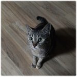 꽁냥꽁냥 김<b>칸쵸</b>4