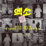 [EXO] 엑소"으르렁"