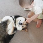 아기와 <b>동물</b>의 사랑스러운 교감