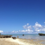 일본 오키나와 여행 ^^ 코엑스 <b>도심</b>공항터미널에 들러 다녀왔어요~