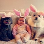 [팔부] +추가)아기와 <b>동물</b> 6