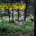 [춘천]<b>농촌</b>체험마을<물안마을>에서 - 장뇌삼을 캐다!!