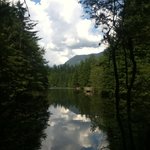 [<b>LIFE</b>]캐나다- 아찔한 스릴을 즐길 수 있는 Lynn Canyon...