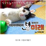 [뇌성마비 고양이]  <b>미래</b>이야기 9화
