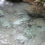 휴가 계획 세우기! 서울에 있는 계곡 여행은 어떠세요?