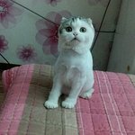 말랑말랑 쵸파왔어요~