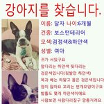 송파구<b>송파</b>1동달자좀찾아주세요ㅠ-ㅠ
